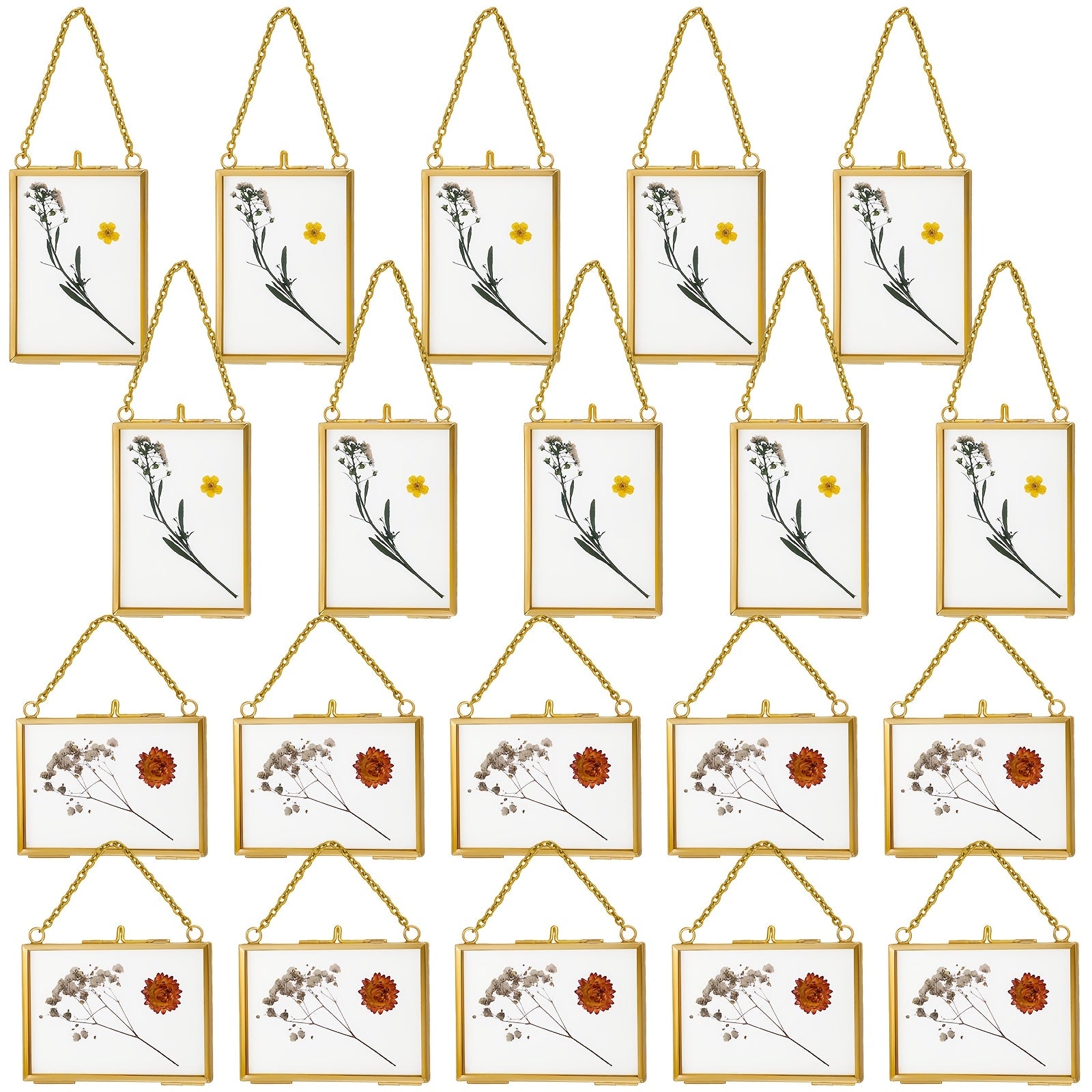 20pcs Clear Glass Pressed Flower Frames with Brass Double Glass Panels & Hanging Chains - Vertical\u002FHorizontal Wall-Mountable Photo Frames Suitable for Pressed Flower Art, Photos, Gallery Display - Classic Rectangular Picture Frames